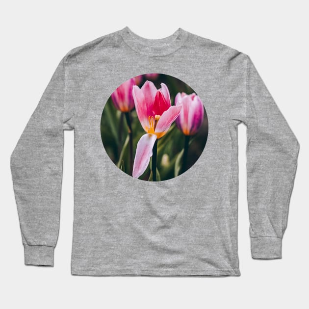 Tulip Petal Opening Photograph Long Sleeve T-Shirt by love-fi